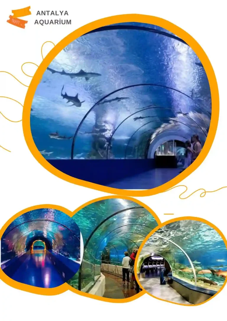 Antalya Vip Transfer Aquarium Tour